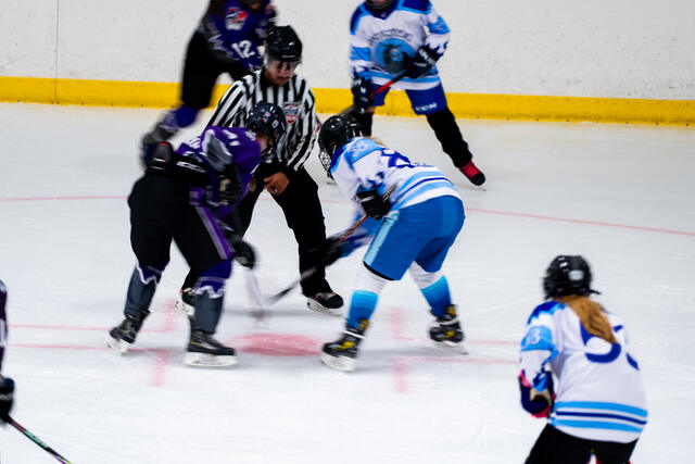 Referee drops the puck at a faceoff
