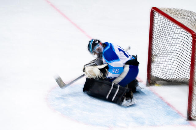 Coyotes skaters battle for the puck along the boards